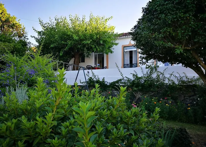 Charmosa Vista Mar E Jardim Privado * Raminho